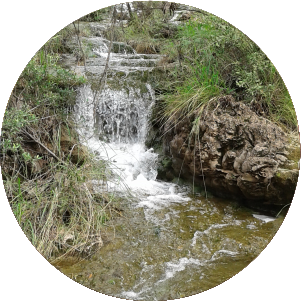 Marico River Conservation Association